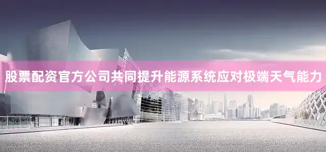 股票配资官方公司共同提升能源系统应对极端天气能力